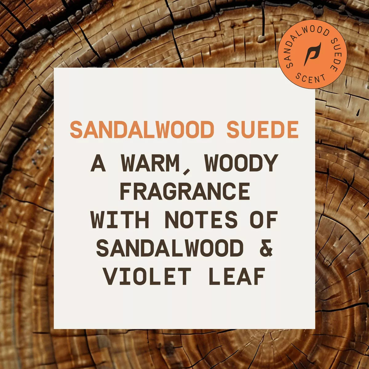 Papatui Sandalwood Mens Body Wash